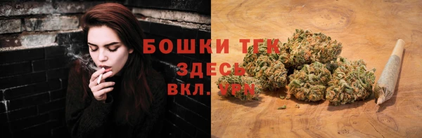 твердый Ростов